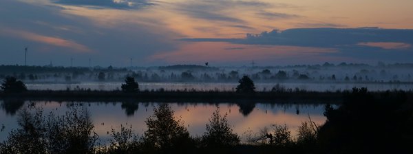 Kraniche und Zugvögel starten in den Tag