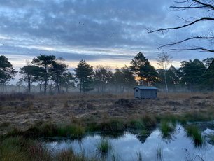 Hütte im Moor