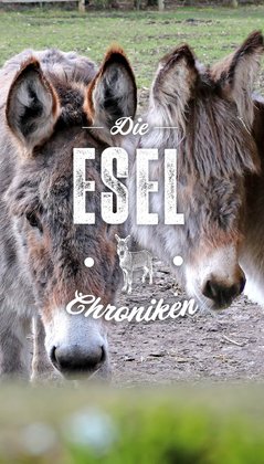 Die Esel-Chroniken, Gestaltung: Stefan Niemeyer