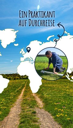 Plakat zum Anklicken für die Story "Ein Praktikant auf Druchreise"
