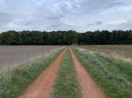 NORDPFAD Riepholm-Gilkenheide